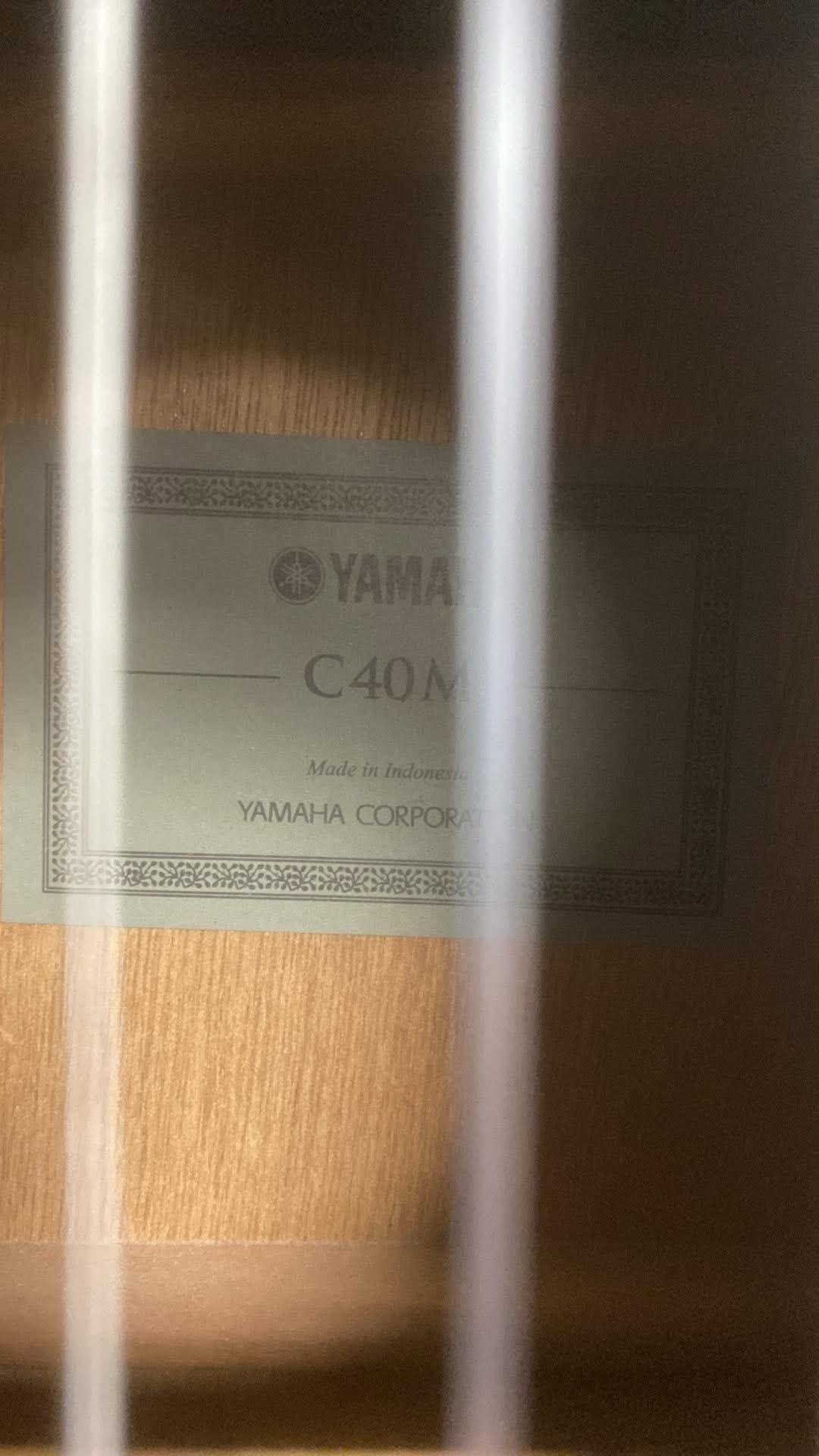 Yamaha C40M