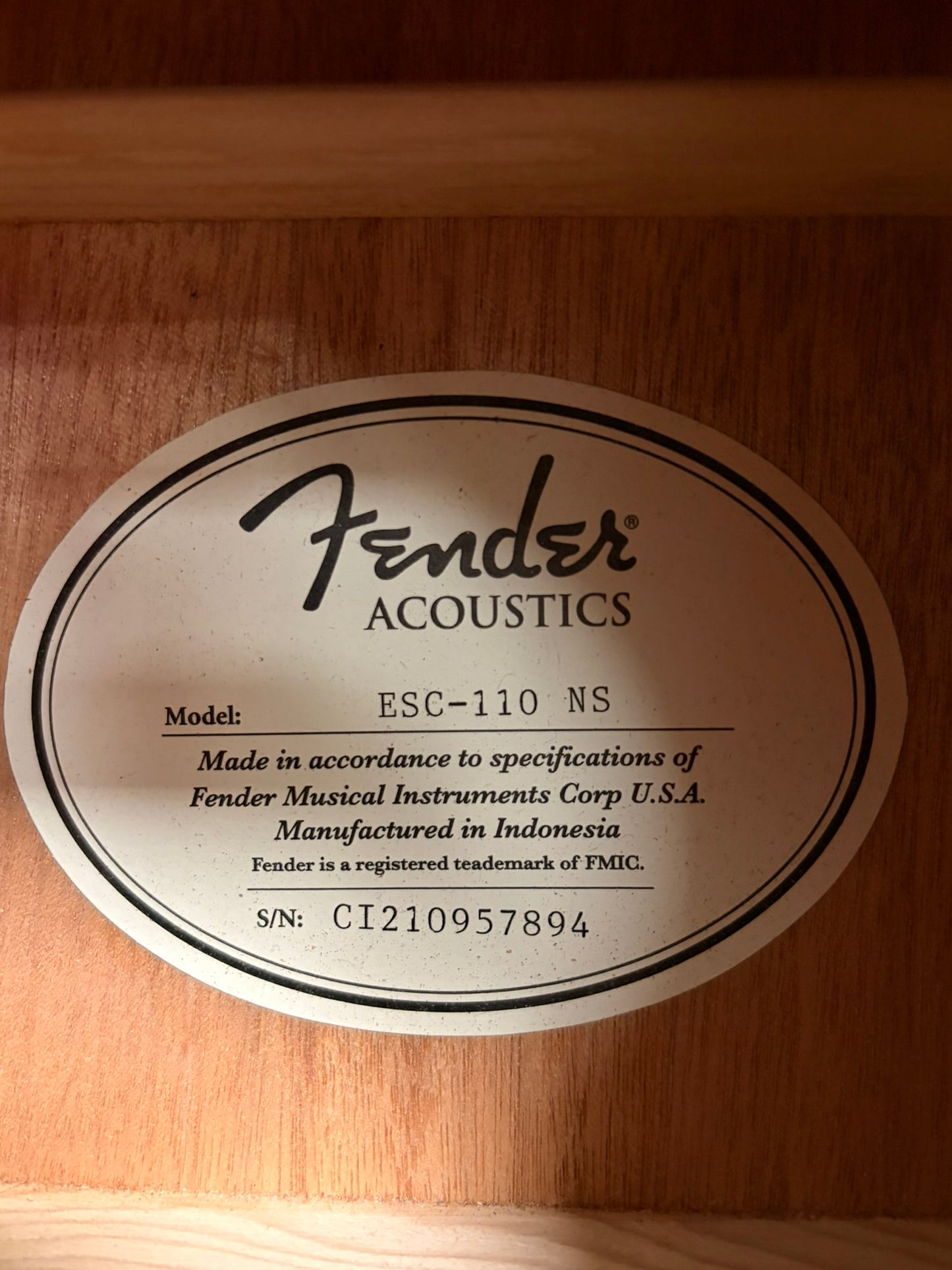 Fender ESC-110 NS