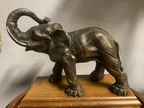 Elefant mit erhobenem Rüssel