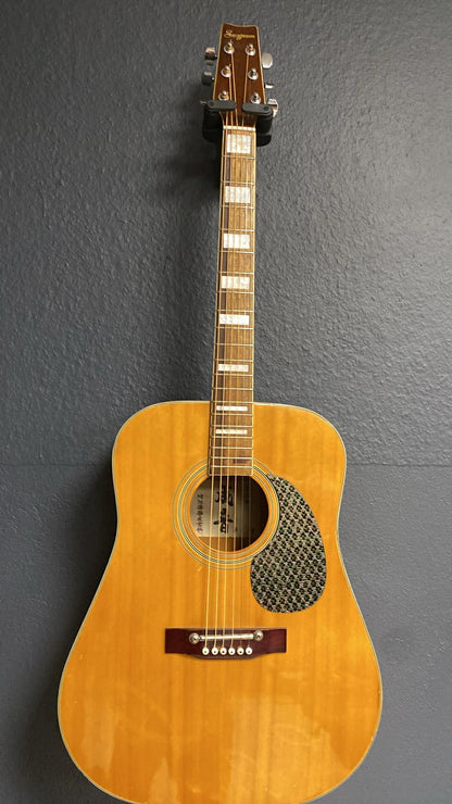 Sungenum Akustikgitarre – Vintage Japan