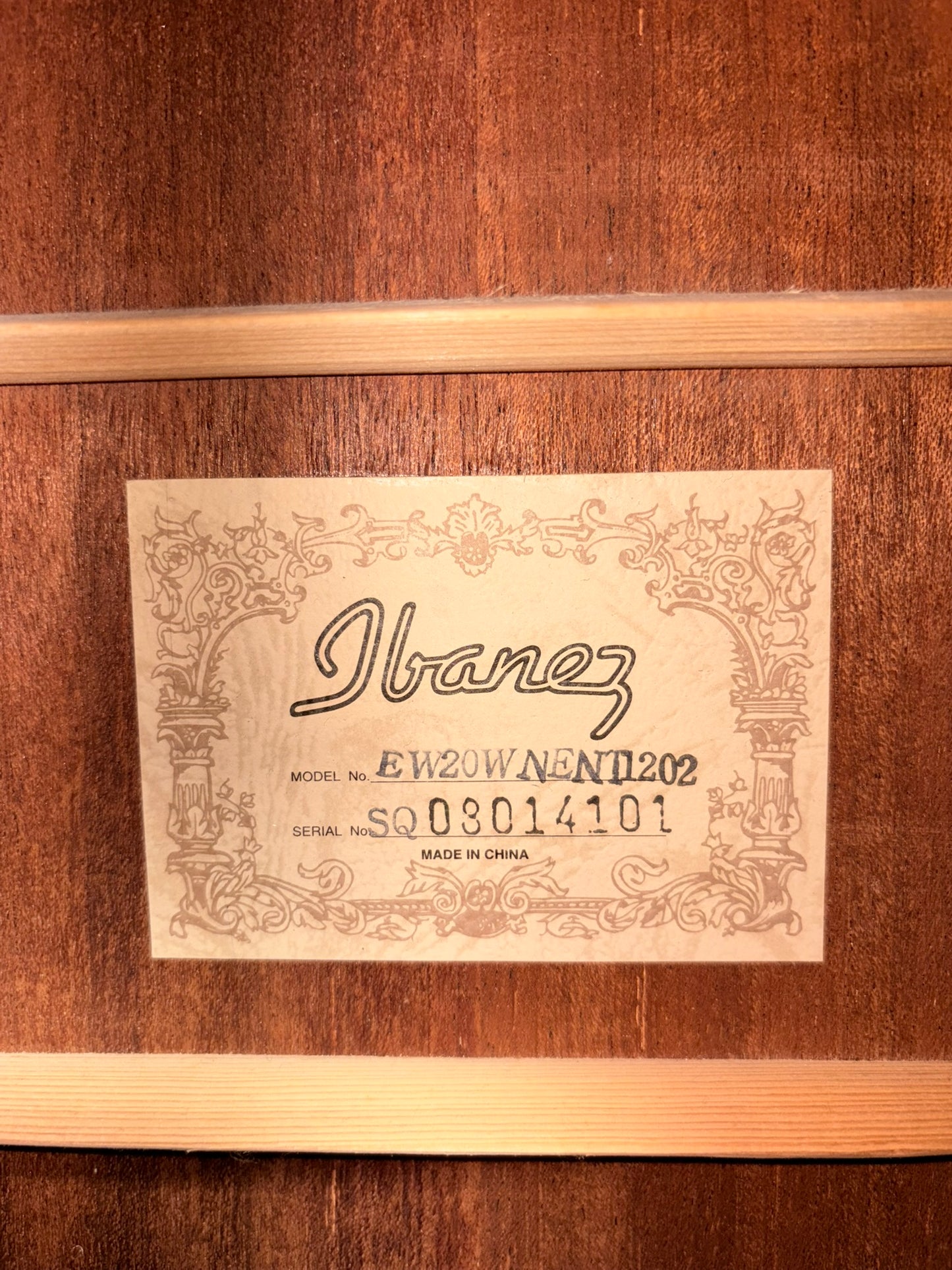 Ibanez EW20WNENT1202